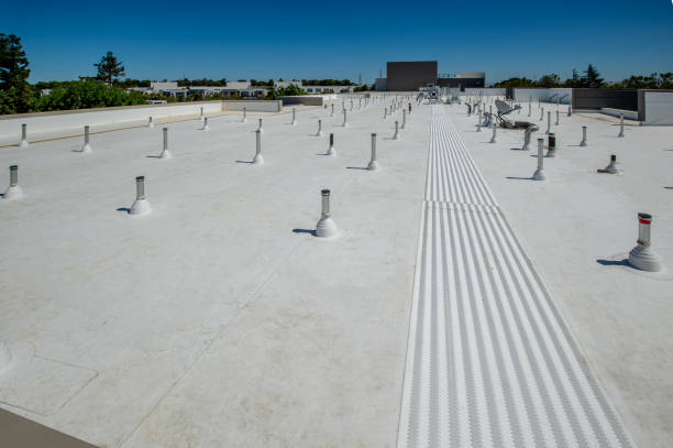 Best Skylight Installation and Repair  in Seymour, TX